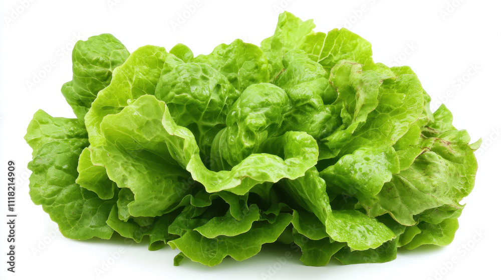 Fresh green lettuce with crisp, vibrant leaves, perfect for salads and healthy meals, isolated on a white background. Fresh green lettuce with crisp, vibrant leaves, perfect for salads and healthy meals, isolated on a white background.