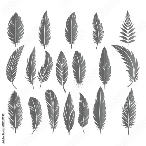 Create a shilhoutte feather vector design with white background