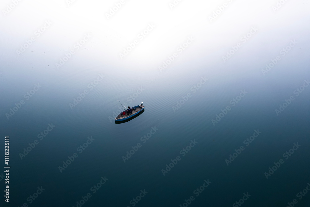Fototapeta premium gull in the sea