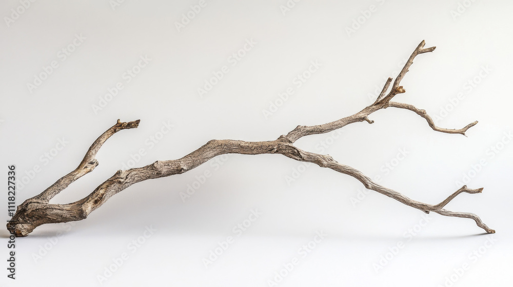 Curved driftwood branch with intricate texture displayed against a minimalist white background. Curved driftwood branch with intricate texture displayed against a minimalist white background.
