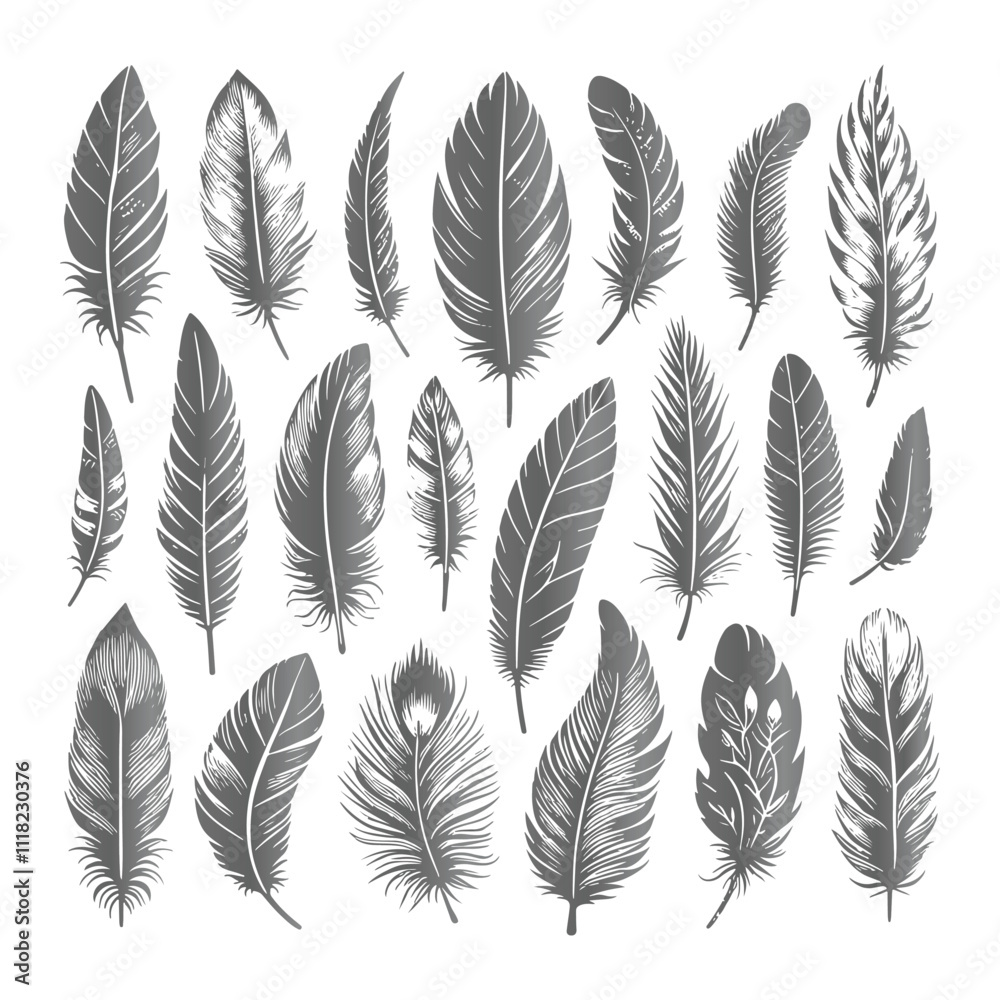 A shilhoutte feather vector design with white background A shilhoutte feather vector design with white background