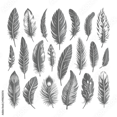 Create a shilhoutte feather vector design with white background