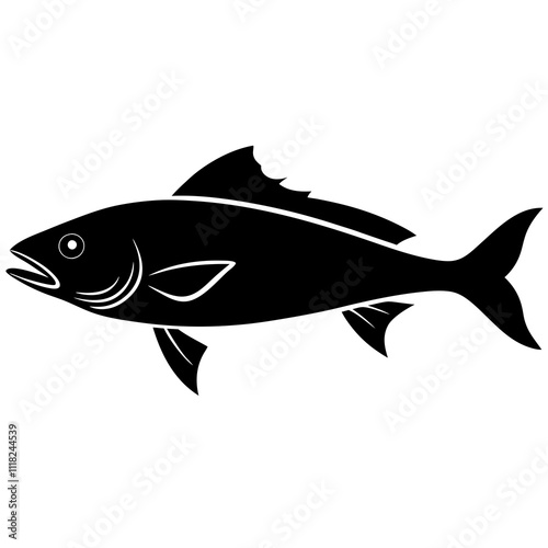 fish isolated on white