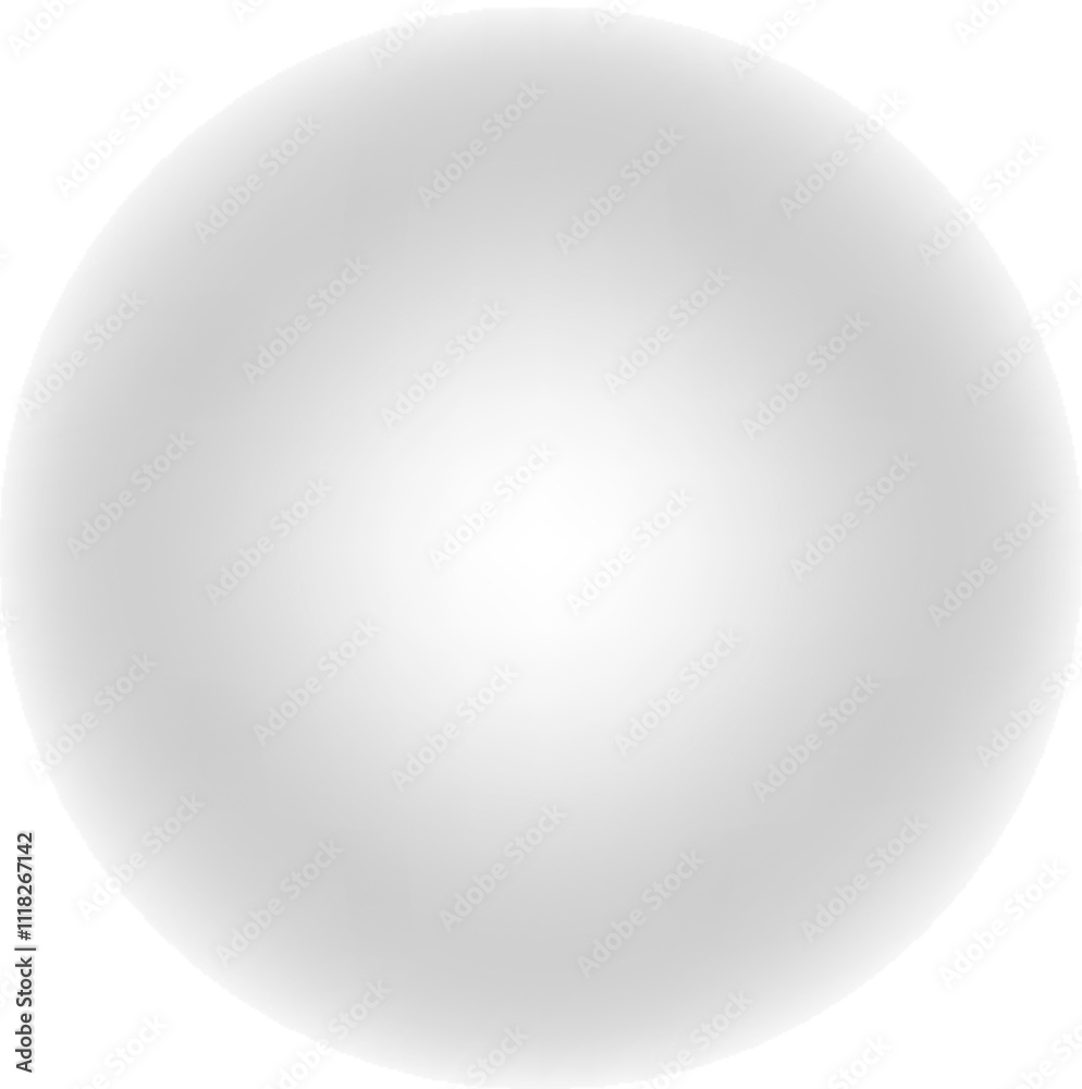 Grey Globe Icon with Americas View