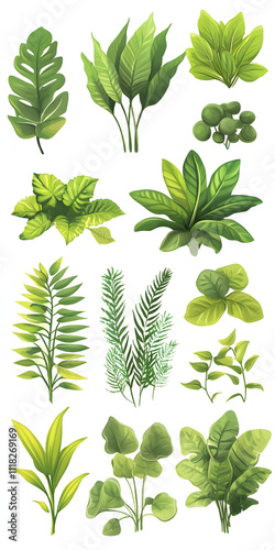 Variety of Green Leaves and Plants