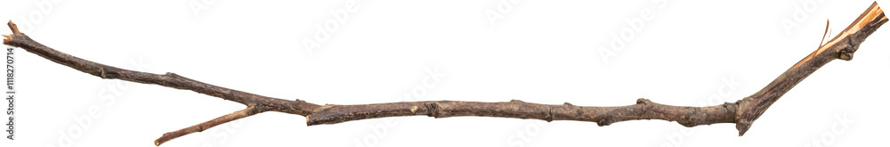 Dry tree branches isolated on white background Dry tree branches isolated on white background