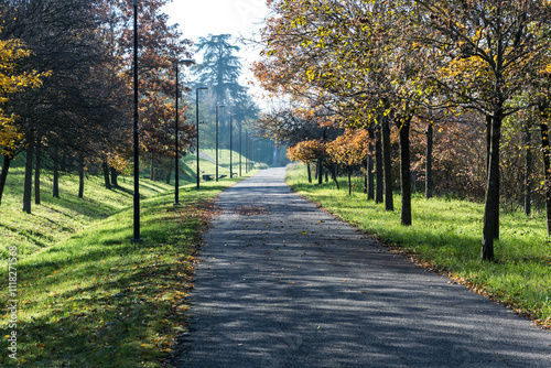 stradina nel parco