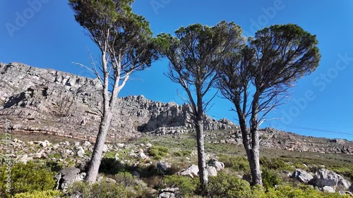 Table Mountain At Cape Town In Western Cape South Africa. National Park Scene. Giant Rocks. Cape Town At Western Cape South Africa. Tourism Travel. Transportation Skyline.