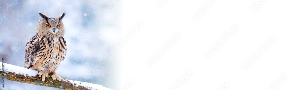 Uhu im Winter Uhu im Winter