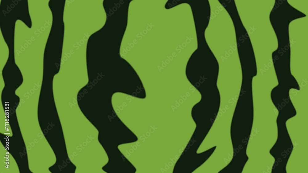 Green watermelon texture. Abstract loop animation Green watermelon texture. Abstract loop animation