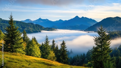 Majestic mountain view with pine trees and clouds