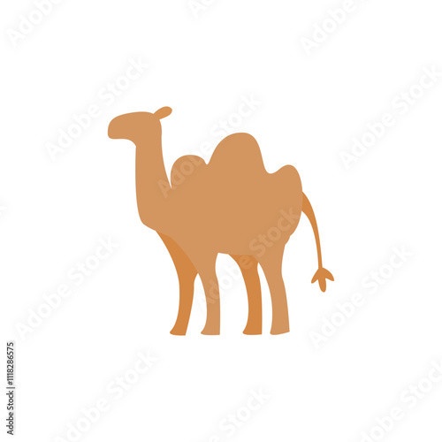camel in the desert