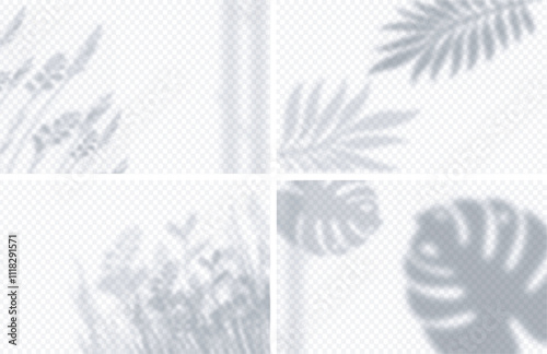 Set of shadow effects. Shadows from tropical and exotic leaves on wall. Texture and wallpaper, background. Studio in sunlight. Realistic vector collection