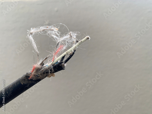 Broken fiber optic cable with gray cement wall background, copy space