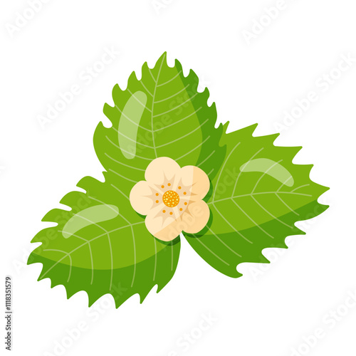 colorful strawberry flower, wild strawberry with lush green leaves, hand drawn, vector.