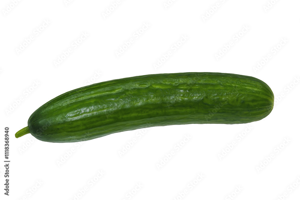 Ripe green cucumber isolate on a white background. Ripe green cucumber isolate on a white background.