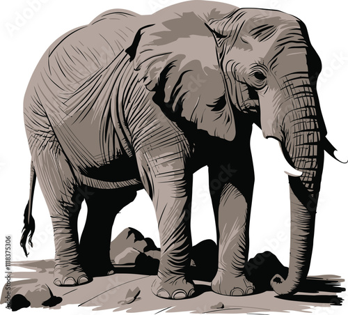 Adobe Illustrator Artwork