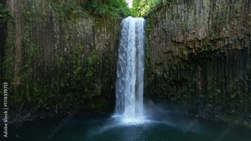 waterfall in the forest waterfall in the forest