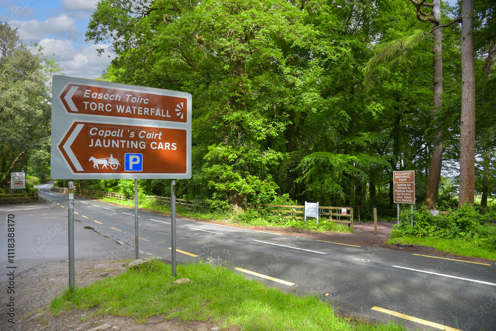 Straße im Killarney-Nationalpark in Irland