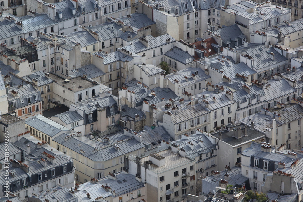 Fototapeta premium Parisian roofs - view from above