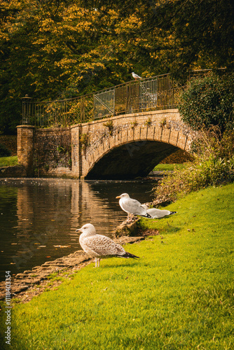 Kearsney Abbey Gardens photo