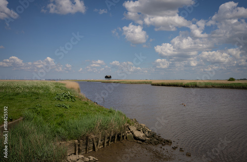 Bird watching hut De Kiekkaaste, with a view over the Eems-Dollard. This is the only Dutch bird watching hut outside the dikes. photo