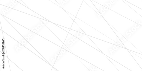 Abstract lines in black and white tone of many squares and rectangle shapes on white background. Metal grid isolated on the white background. nervures de feuilles mortes, fond rectangle and geometric