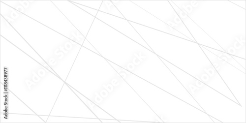 Abstract lines in black and white tone of many squares and rectangle shapes on white background. Metal grid isolated on the white background. nervures de feuilles mortes, fond rectangle and geometric