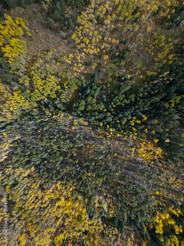 Colorado Aerial Fall