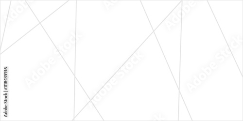 Abstract lines in black and white tone of many squares and rectangle shapes on white background. Metal grid isolated on the white background. nervures de feuilles mortes, fond rectangle and geometric