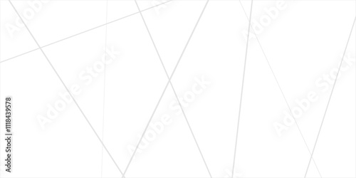 Abstract lines in black and white tone of many squares and rectangle shapes on white background. Metal grid isolated on the white background. nervures de feuilles mortes, fond rectangle and geometric