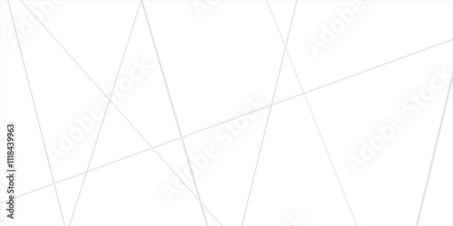 Abstract lines in black and white tone of many squares and rectangle shapes on white background. Metal grid isolated on the white background. nervures de feuilles mortes, fond rectangle and geometric