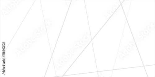 Abstract lines in black and white tone of many squares and rectangle shapes on white background. Metal grid isolated on the white background. nervures de feuilles mortes, fond rectangle and geometric