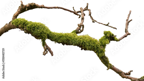 Von der Natur gestaltet