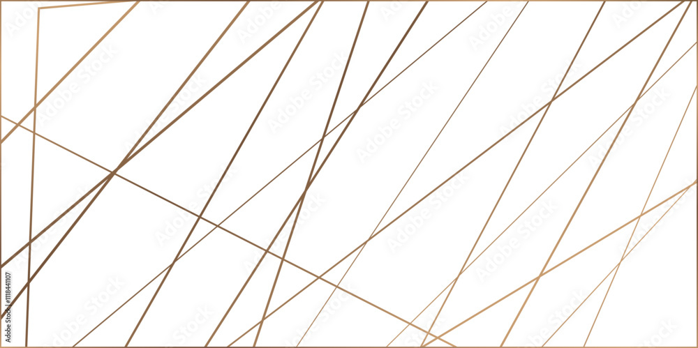 Obraz premium Random chaotic lines. Abstract geometric pattern. Outline monochrome texture.