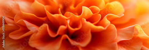 Vibrant Orange Flower Petals Macro Photography Abstract Background