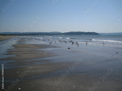 千葉県富津　春霞の風景(大佐和海岸)