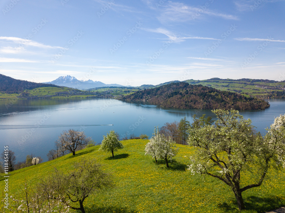 Aerial view of the Lake of Zug in central Switzerland with the famous Alpen peaks Rigi and Pilatus at the background in spring time