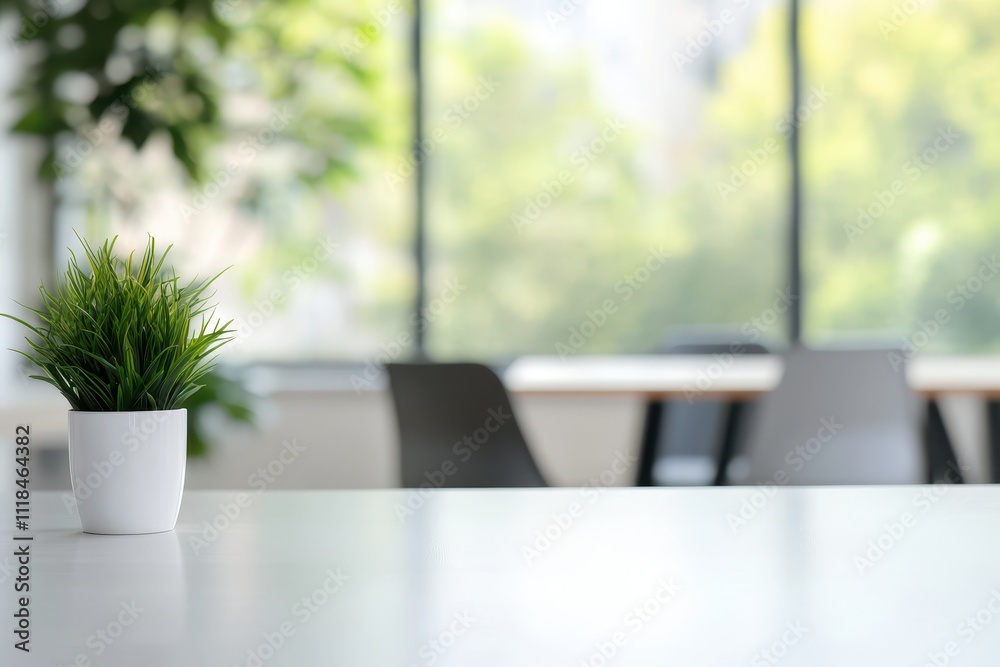 A small plant in a white pot on a table with a blurred background of an office space. A small plant in a white pot on a table with a blurred background of an office space.