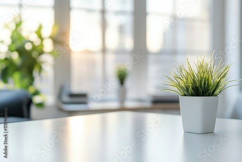 A small potted plant on a table in a bright, modern workspace with natural light.