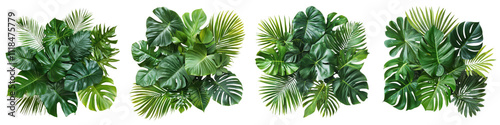 Lush Tropical Foliage Collection Exotic Green Leaves Background