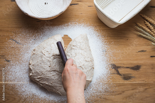 The process of dough formation before proofing. Whole grain dough is made on sourdough