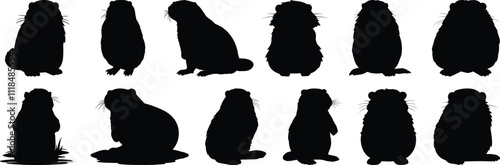 Beaver silhouettes set, animal pack of vector silhouette design, isolated background photo