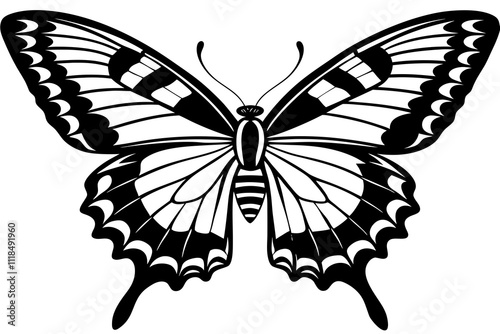 butterfly illustration insect isolated nature white wing swallowtail black fly wings moth yellow beauty animal blue macro beautiful bug vector illustration summer colorful antenna spring