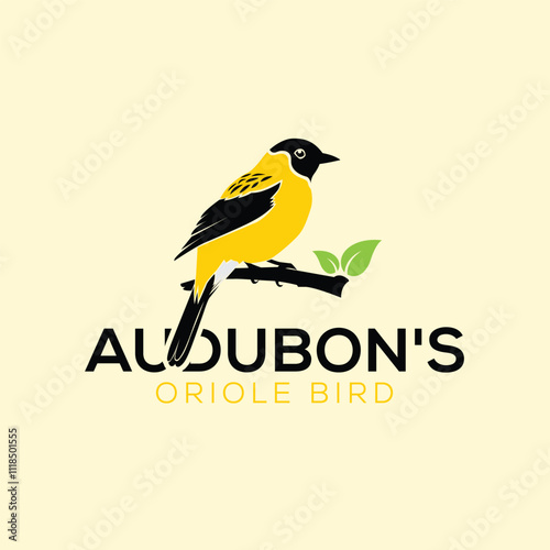 Audubon's oriole bird vector logo design 