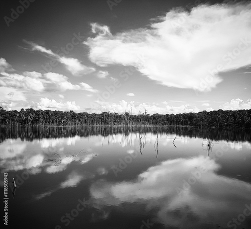 River and Forest in the Amazon, Black and White photo