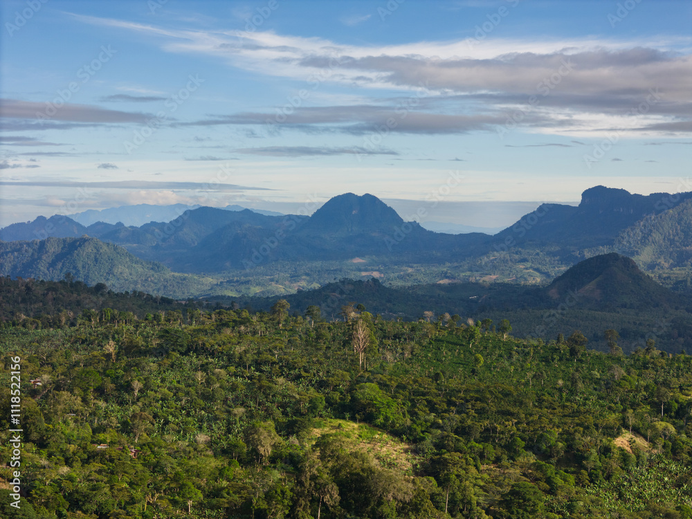 Fototapeta premium Green valley landscape with mountain background