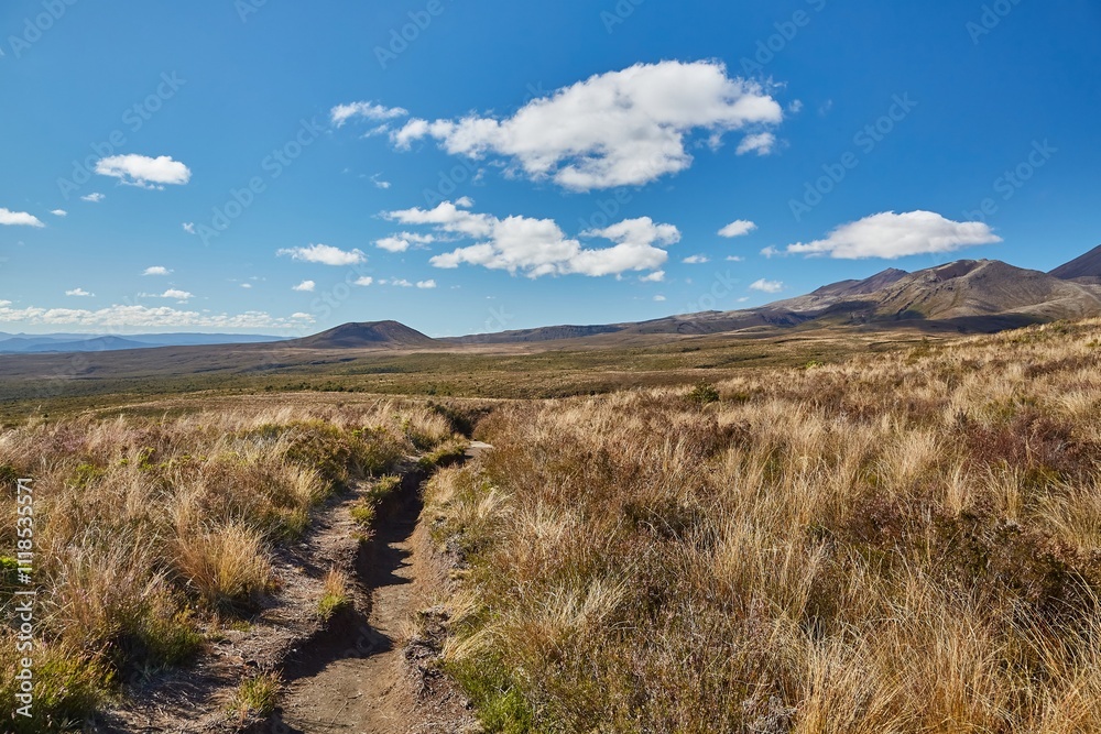 Volcanic Landscape hiking trail Tongariro, New Zealand Volcanic Landscape hiking trail Tongariro, New Zealand