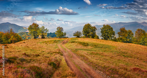 Colorful autumn scene of scene of Krasna mountain range, Transcarpathian, Ukraine. Stunning morning view of Carpathian mountains with country road. Beauty of nature concept background. photo