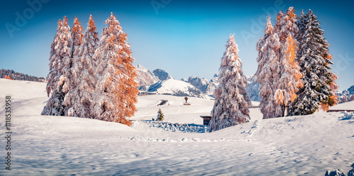 Panoramic morning view of Alpe di Siusi village. Snowy winter landscape of Dolomite Alps. Fabulous outdoor scene of ski resort, Ityaly, Europe. Beauty of nature concept background. photo